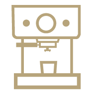 Icon Esp V1