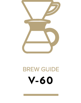 Icon V60 Txt V1