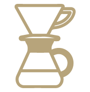 Icon V60 V1